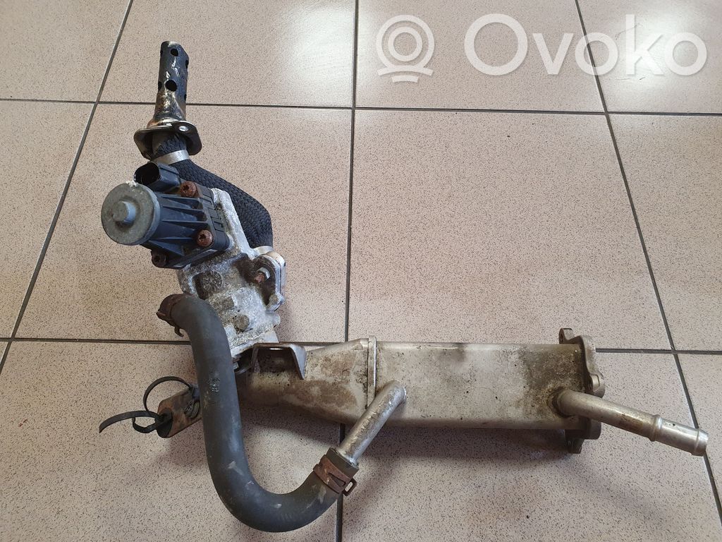 Ford Transit EGR aušintuvas 