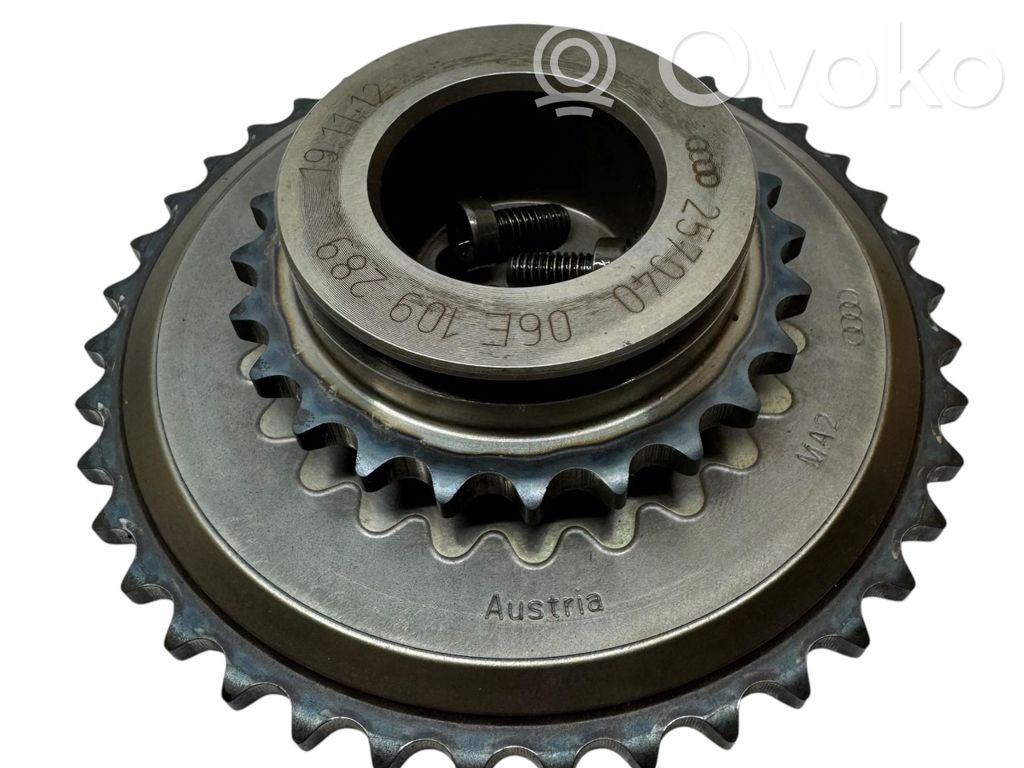 Audi S5 Timing chain sprocket 