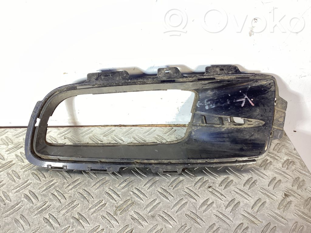 BMW X5 E70 Front bumper lower grill 