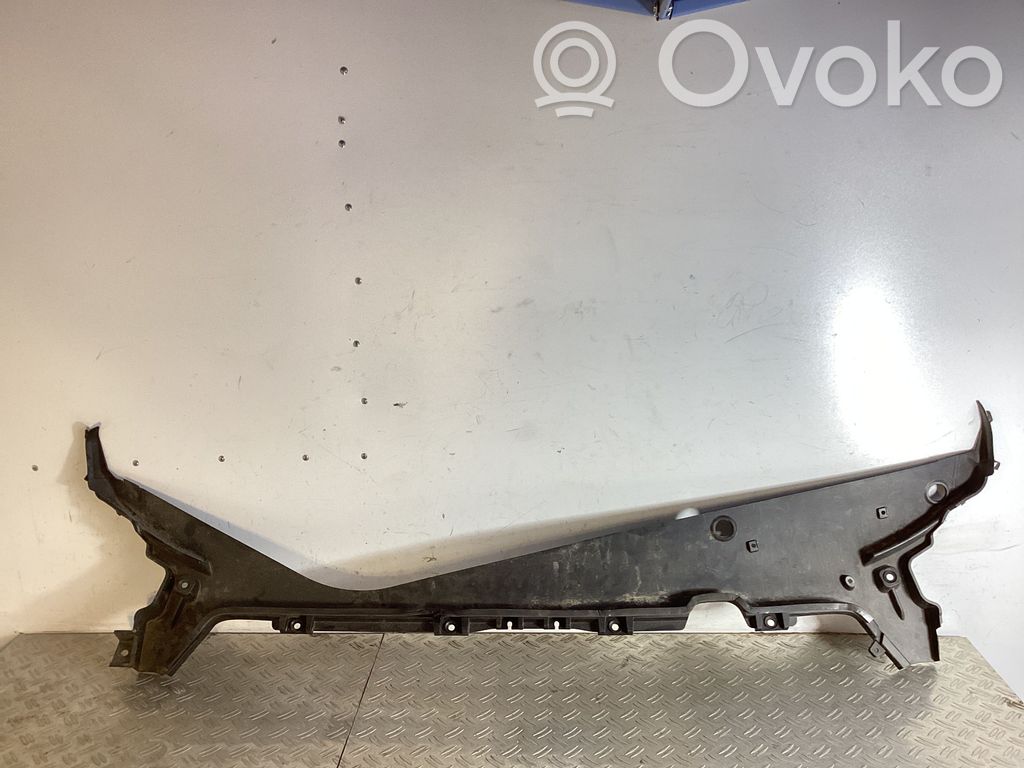 Tesla Model Y Moldura del limpia 