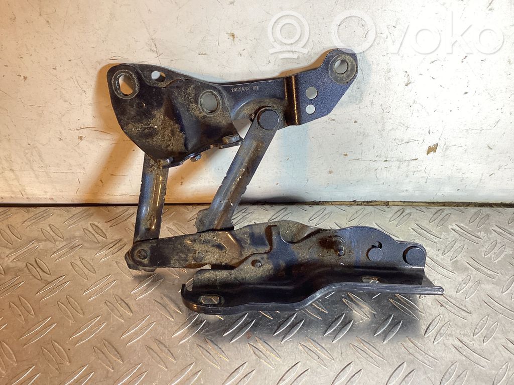 Tesla Model S Engine bonnet/hood hinges 