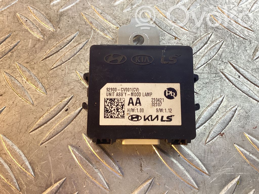 Lichtmodul Lichtsensor   92900CV001