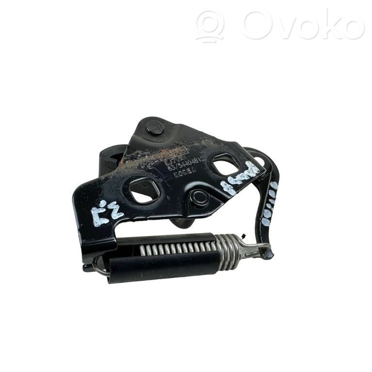 Loading door lock loop/hook striker   54404B12