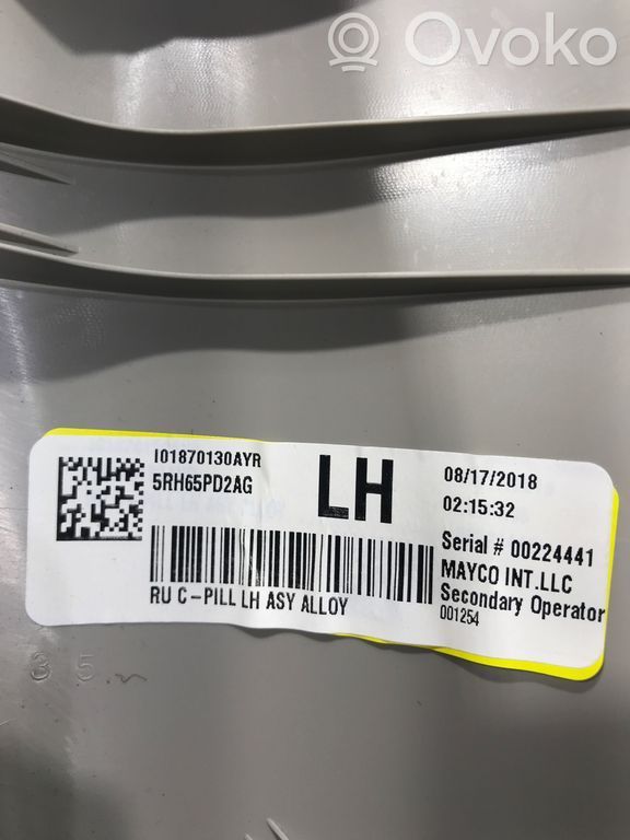 Chrysler Pacifica (C) pillar trim 