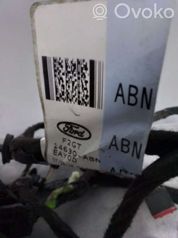 Ford Edge II Wiązka przewodów drzwi przednich 
