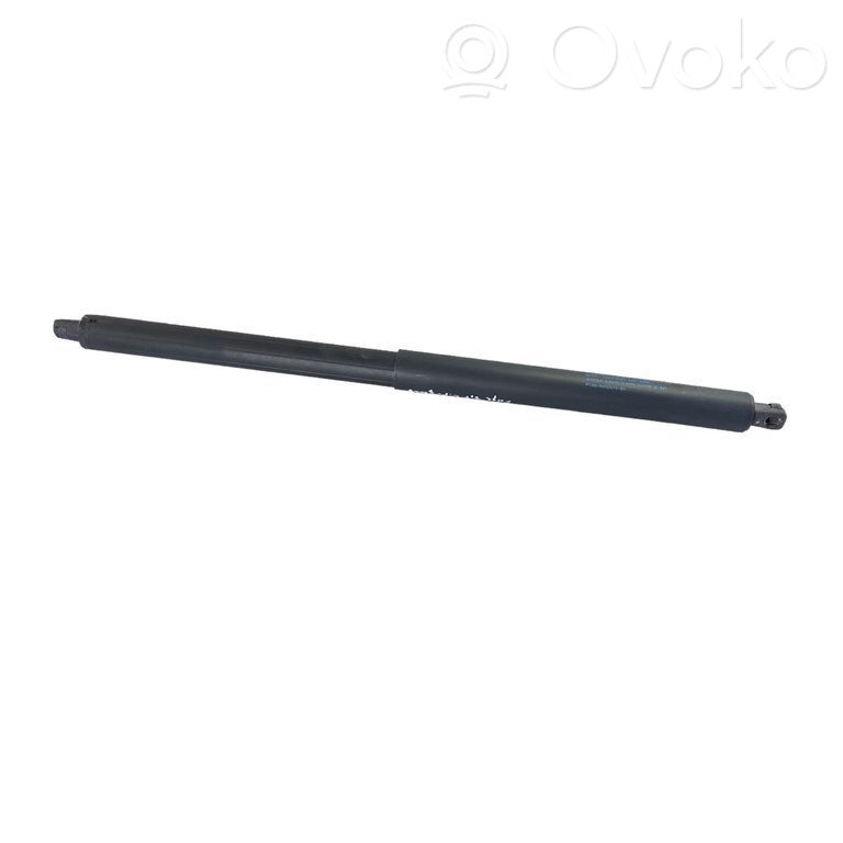 Ford Edge II Tailgate/trunk strut/damper 