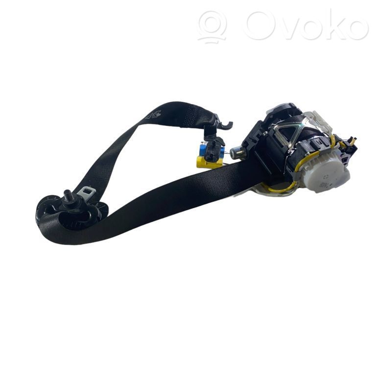 Cinturón delantero   34061695E,33042561C,34023579