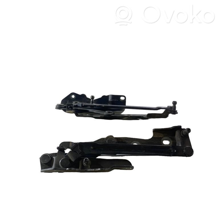 Tailgate/trunk/boot hinge   002N4A,E816K