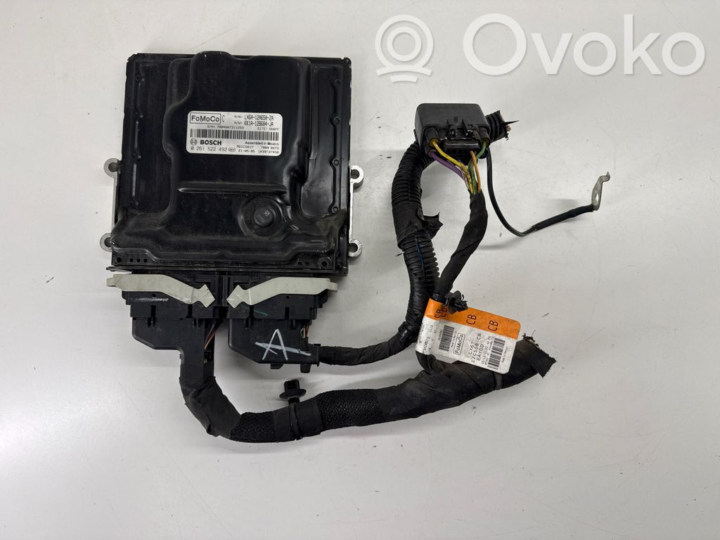Ford Bronco Engine control unit/module 
