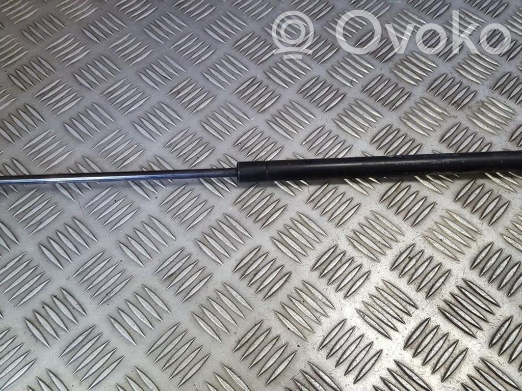 Peugeot 406 Amortiguador/puntal del maletero/compartimento de carga