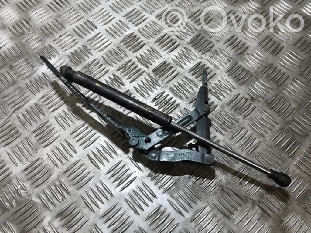 Bisagras del capó/tapa del motor