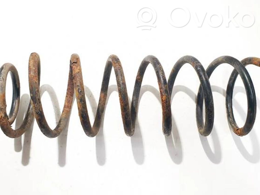 Muelle espiral trasero