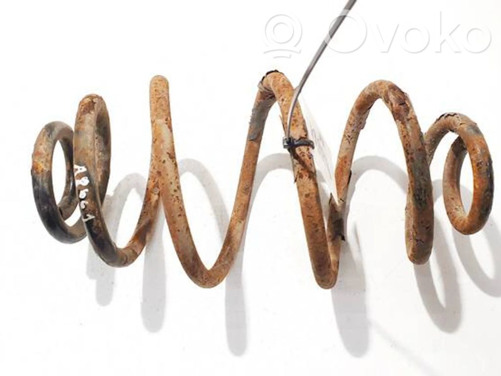 Muelle espiral trasero