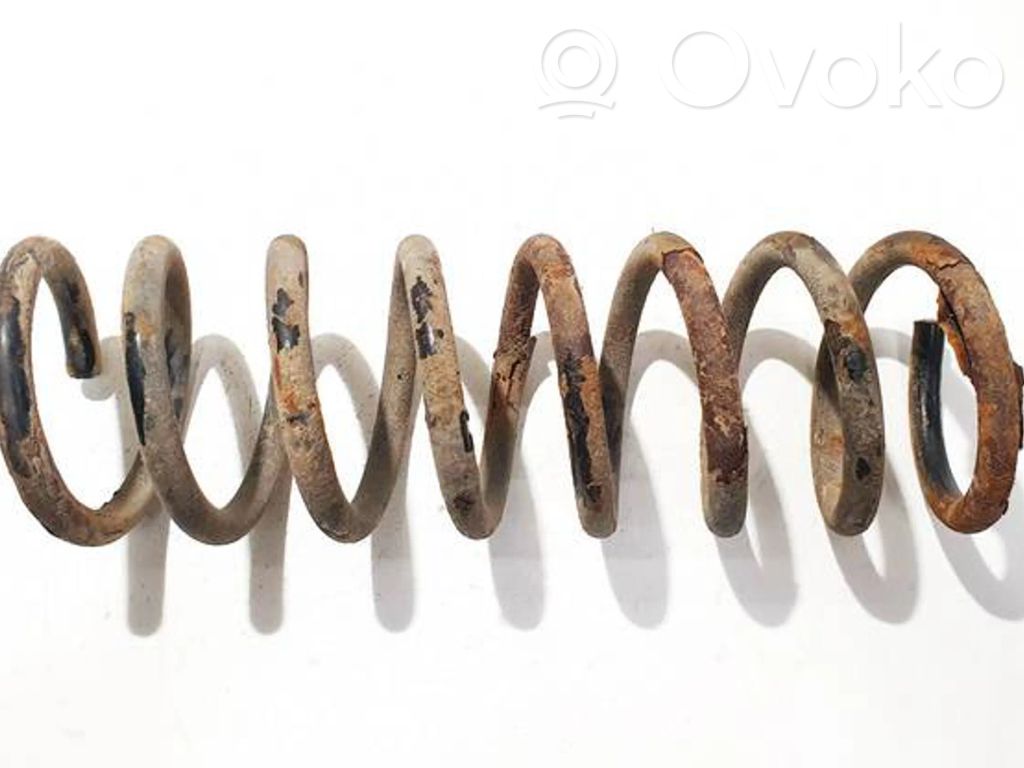 Rear coil spring