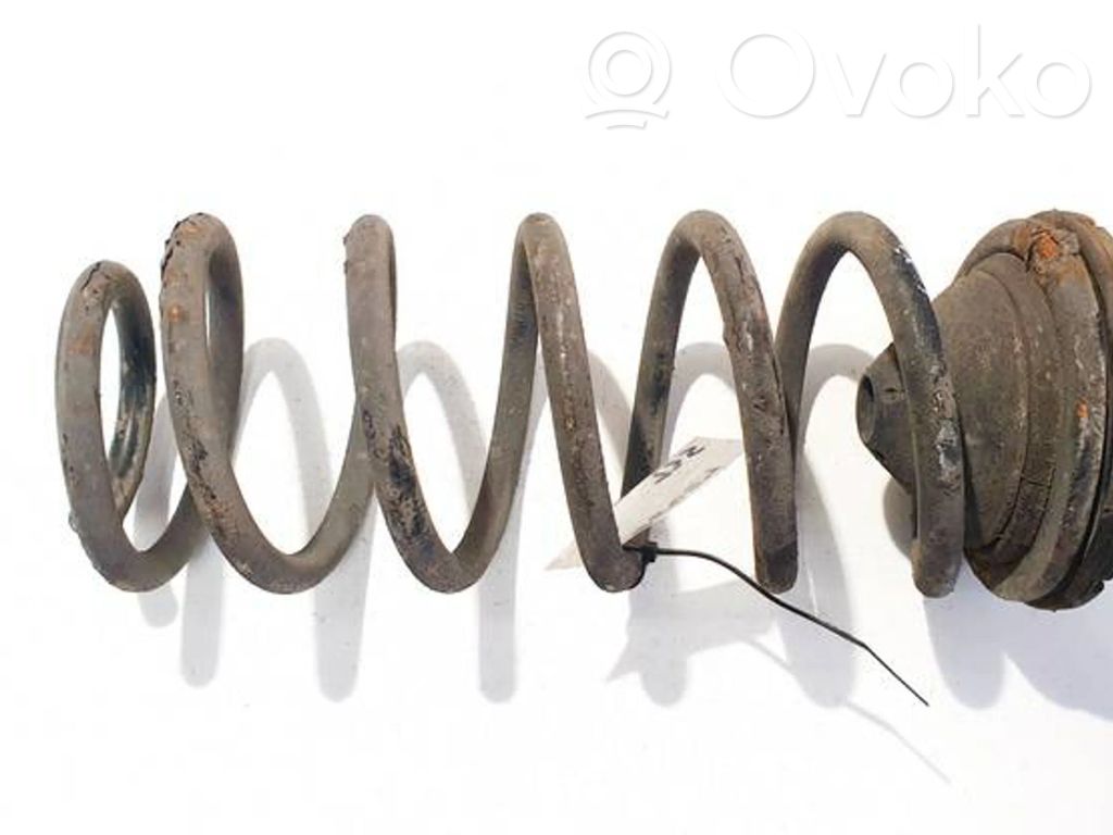 Rear coil spring