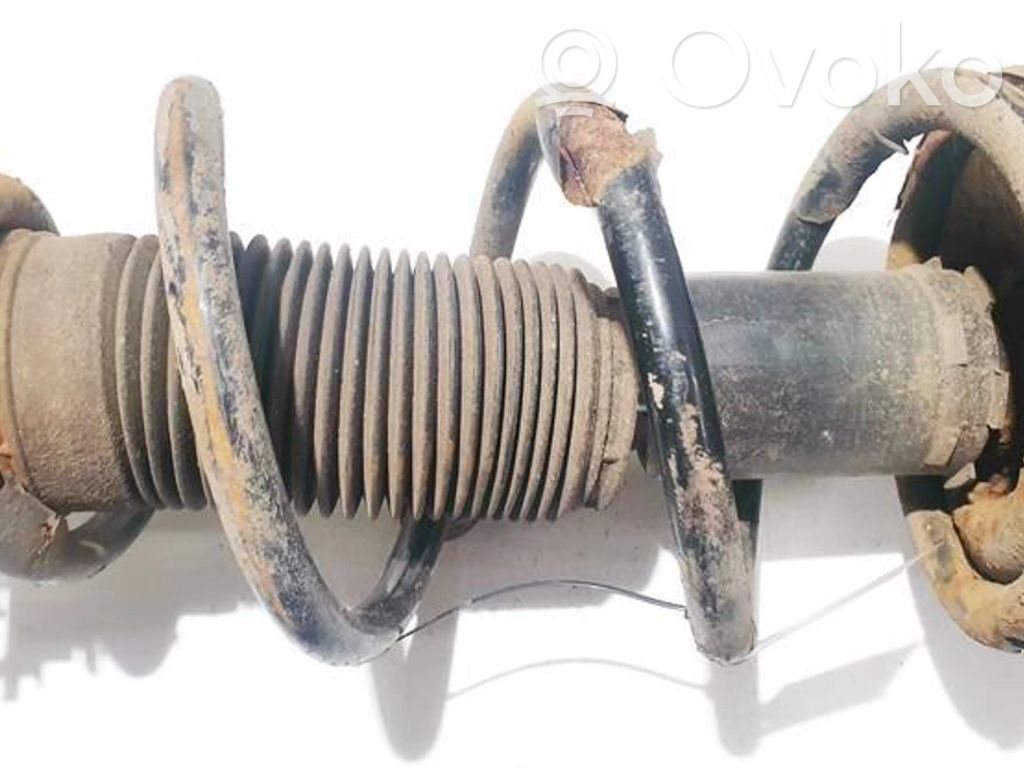 Front coil spring