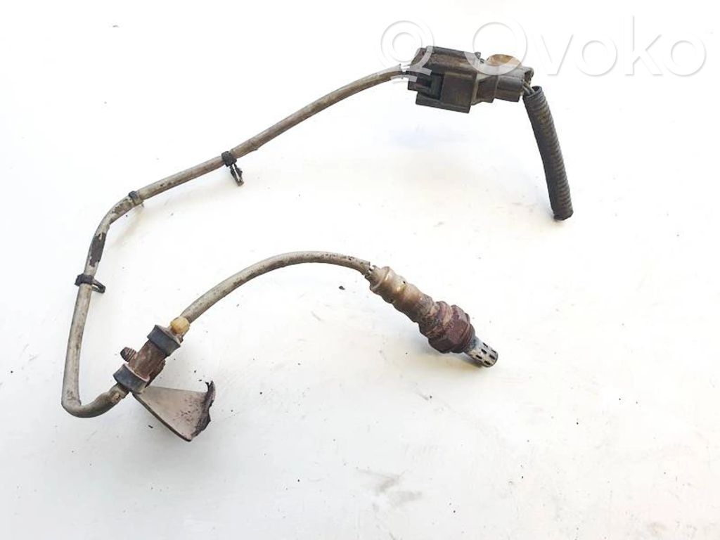 Lambda probe sensor   495F21K4243,495F21K4243
