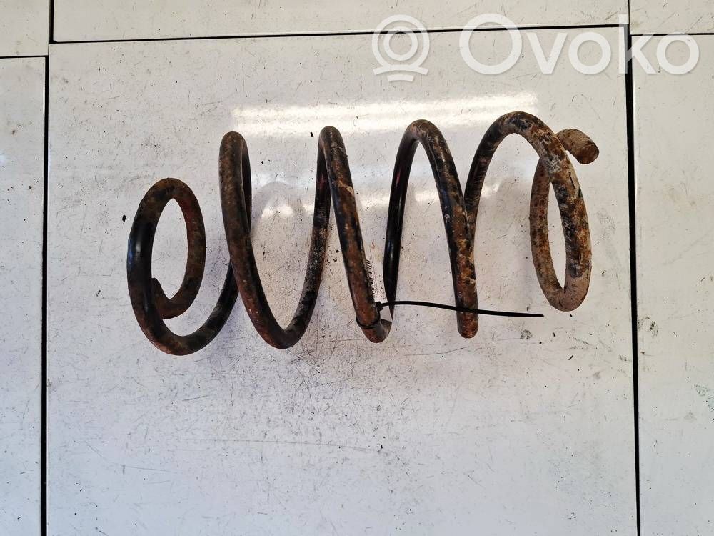 Front coil spring