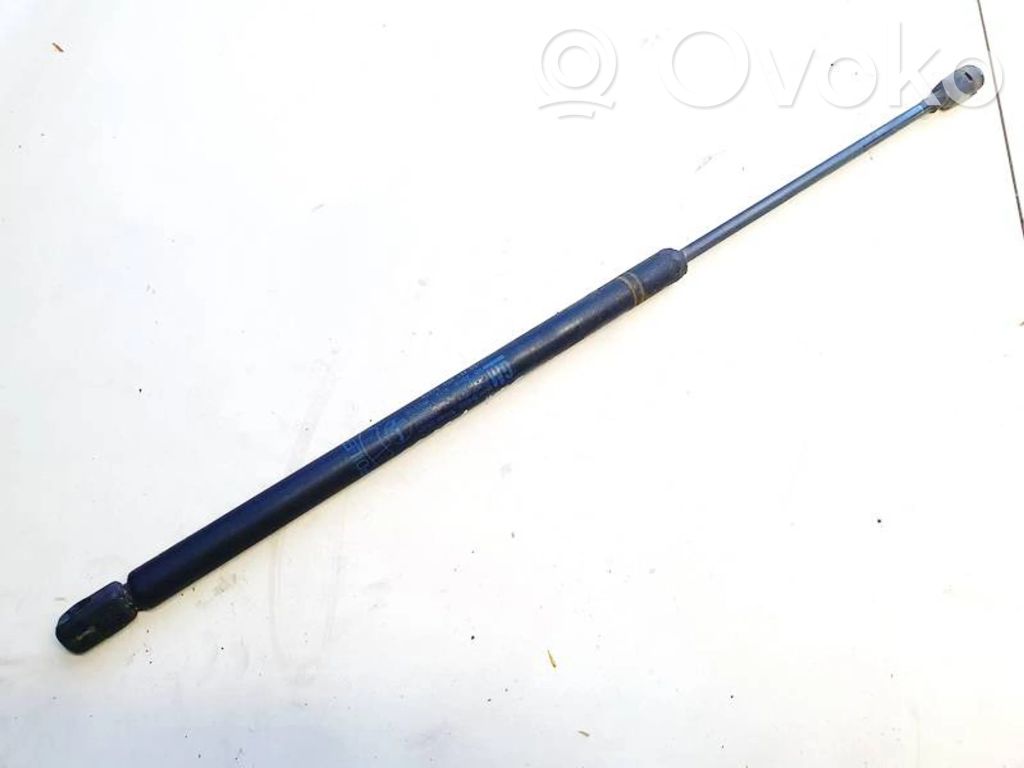 Tailgate/trunk strut/damper