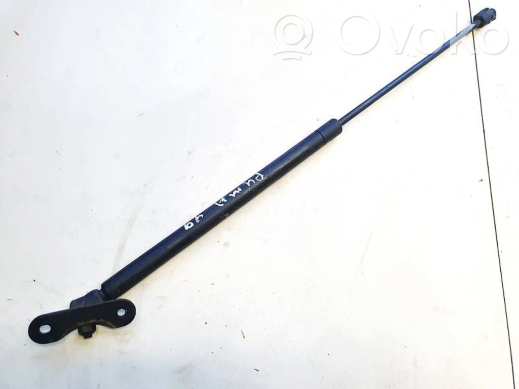 Tailgate/trunk strut/damper