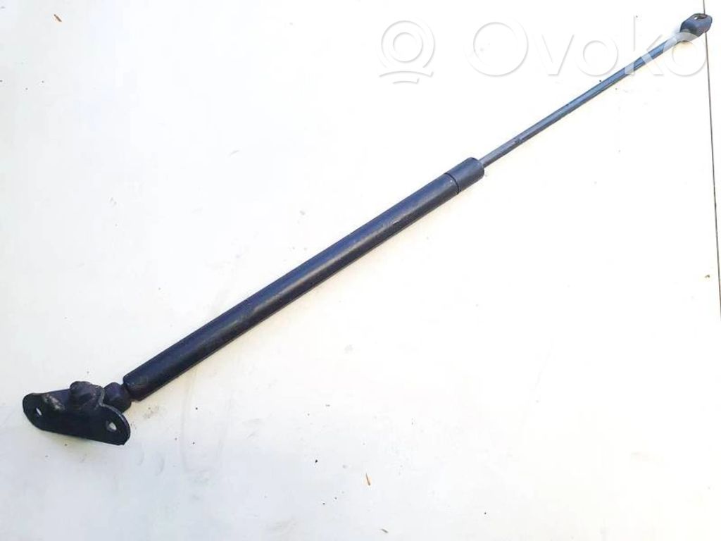 Tailgate/trunk strut/damper