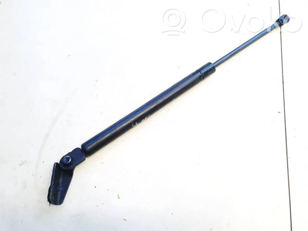 Tailgate/trunk strut/damper