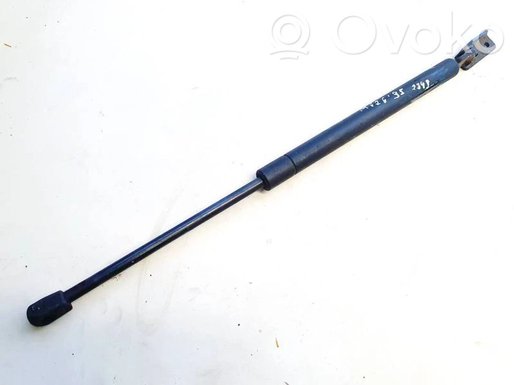 Tailgate/trunk strut/damper
