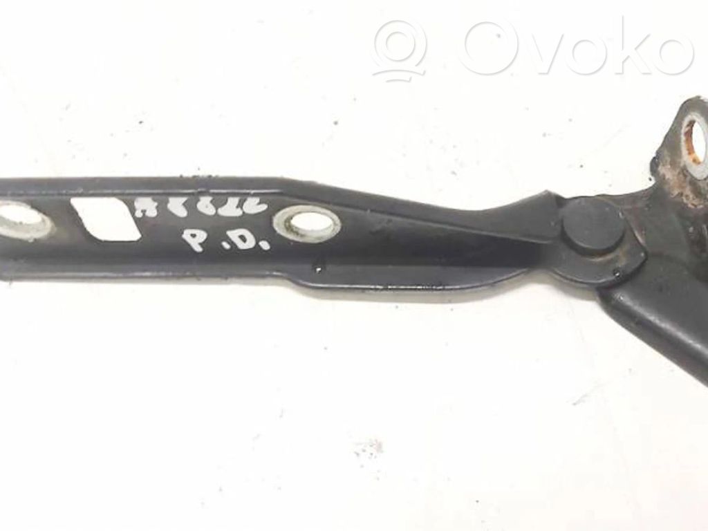 Volkswagen Golf IV Cerniere del vano motore/cofano 