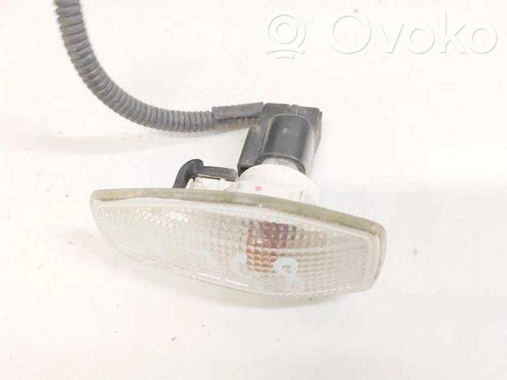 Front fender indicator light