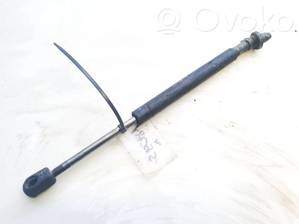 Tailgate/trunk strut/damper   9640894580,9640894580