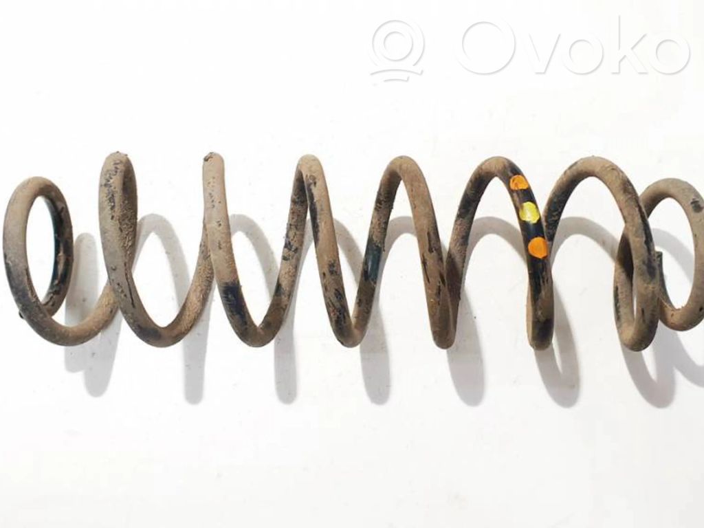 Muelle espiral trasero