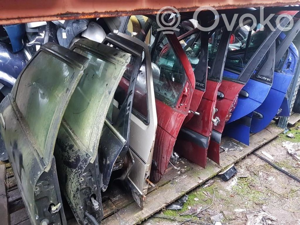 Renault Scenic I Durvis 