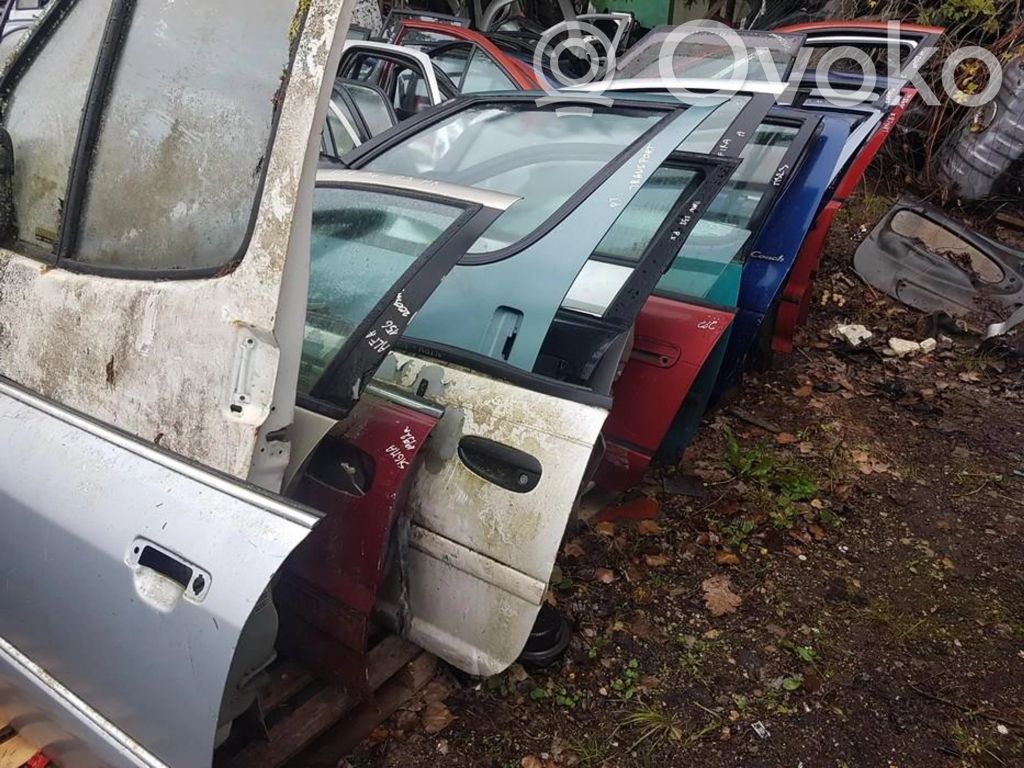 Pontiac Trans Sport Puerta delantera 