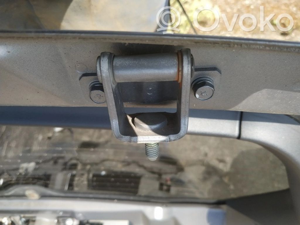 Tailgate/trunk/boot hinge