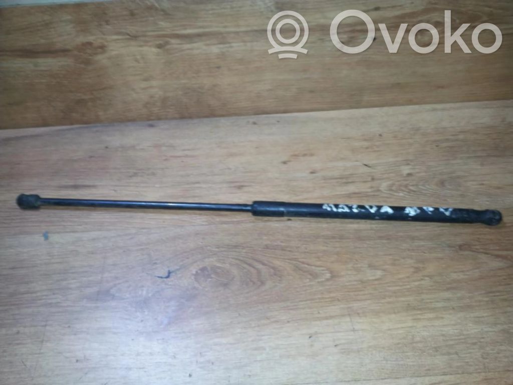 Tailgate/trunk strut/damper