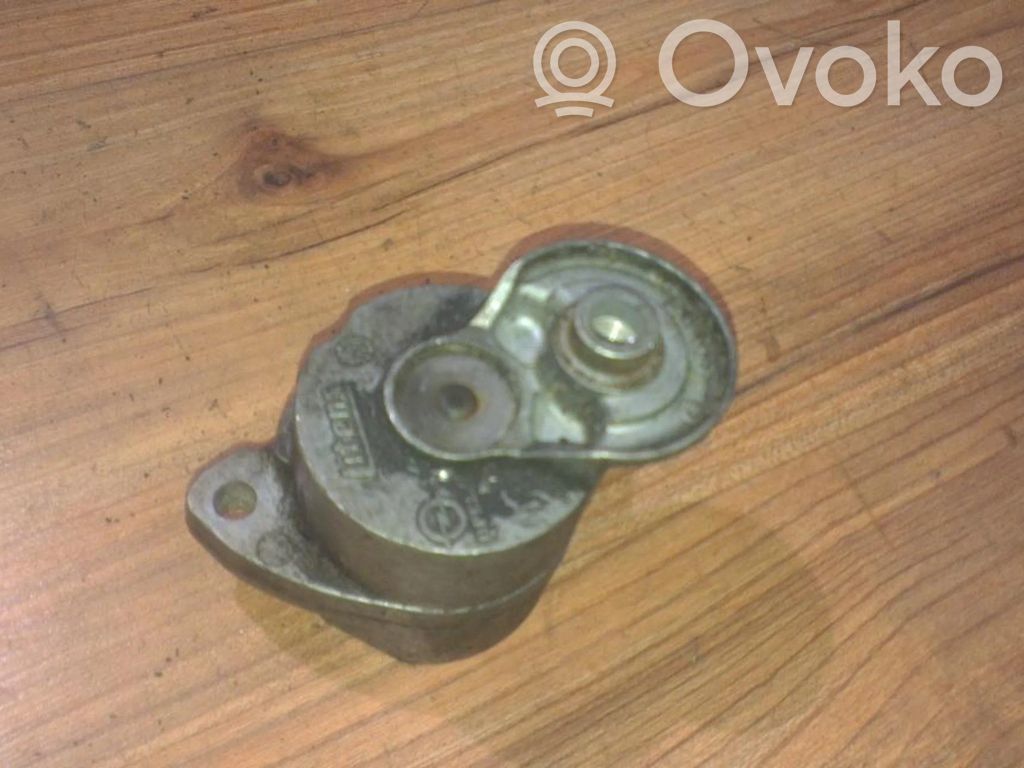 Tendicinghia generatore/alternatore   90500229AA,202002,202002,90500229AA