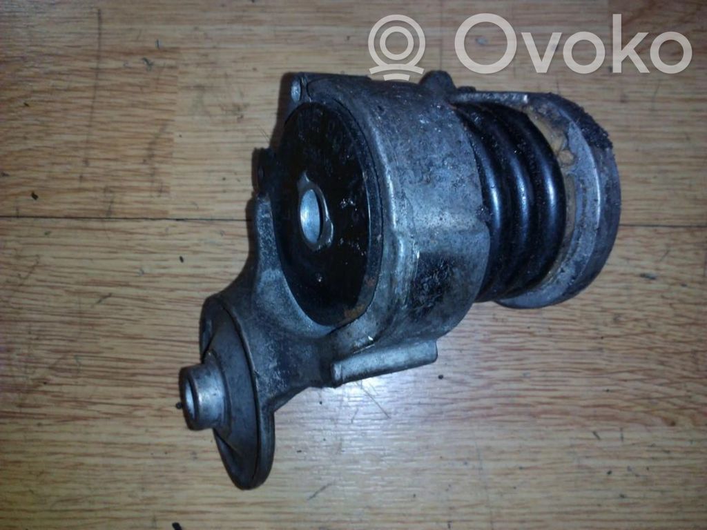 Seat Ibiza III (6L) Napinacz paska alternatora