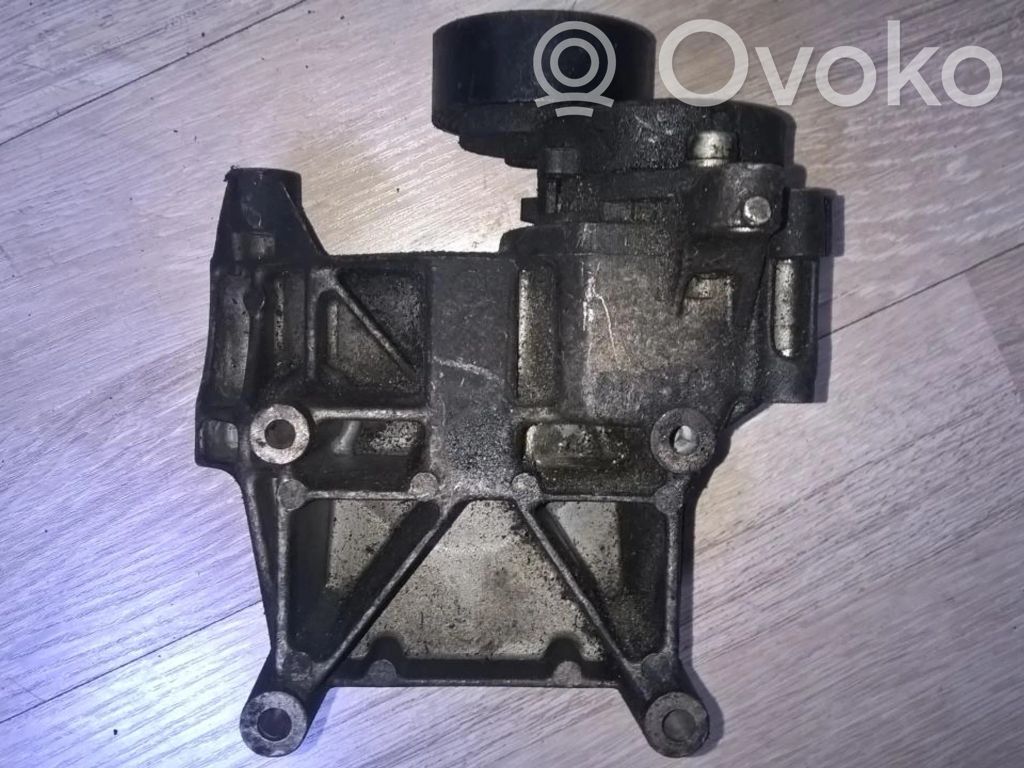BMW 3 E46 Tendicinghia generatore/alternatore 