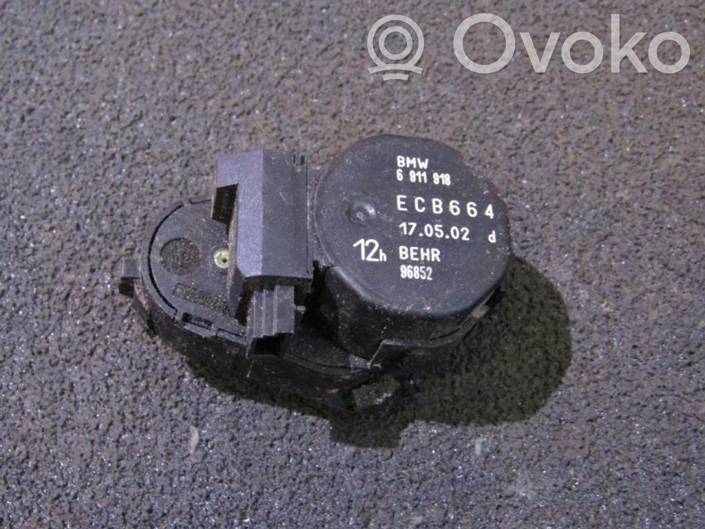 BMW X5 E53 Motor/actuator clapetă aer 