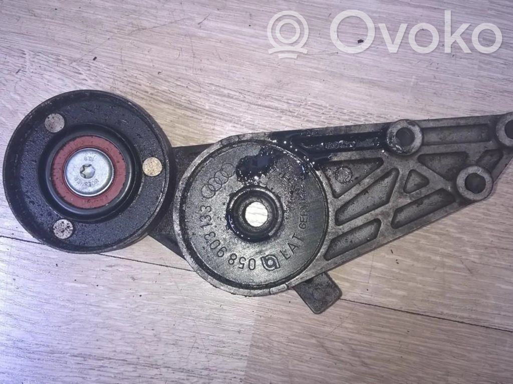 Volkswagen PASSAT B5 Tendicinghia generatore/alternatore 