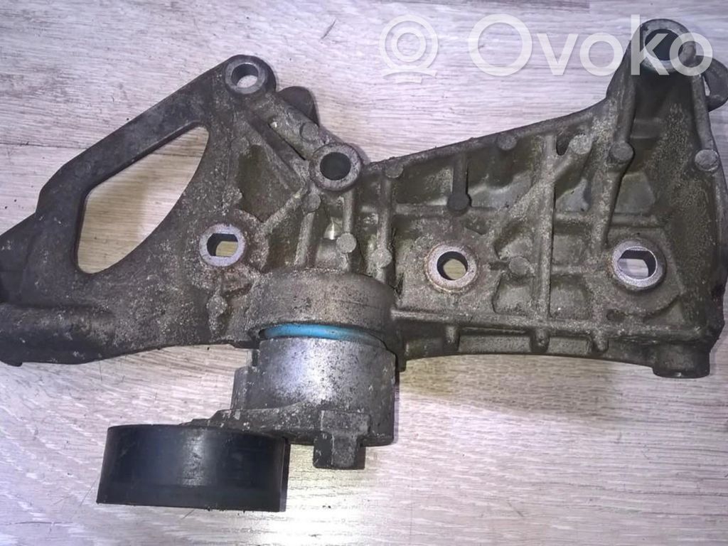 Tensor de correa del alternador   8200048486,8200048486