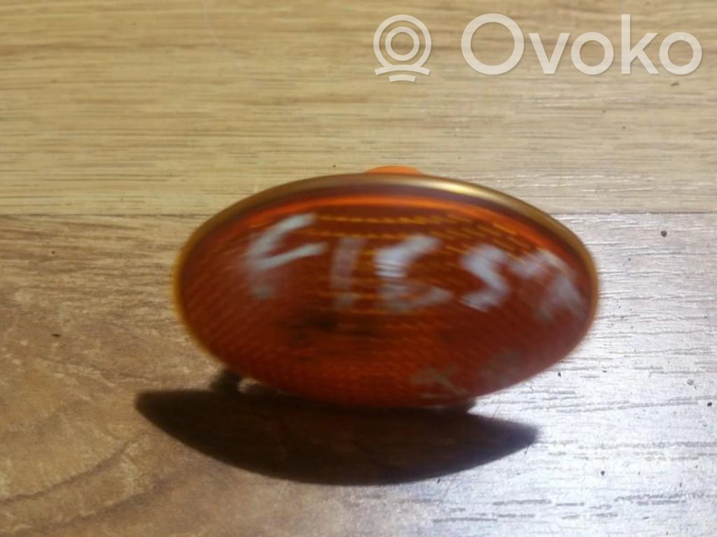 Front fender indicator light