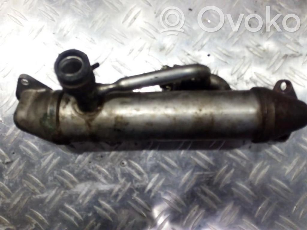 Ford Mondeo Mk III Valvola di raffreddamento EGR