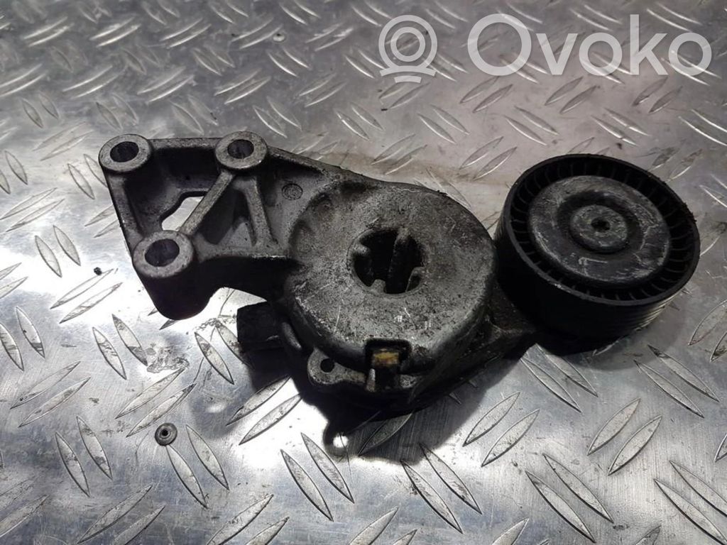 Tensor de correa del alternador   06A903315E,06A903315E