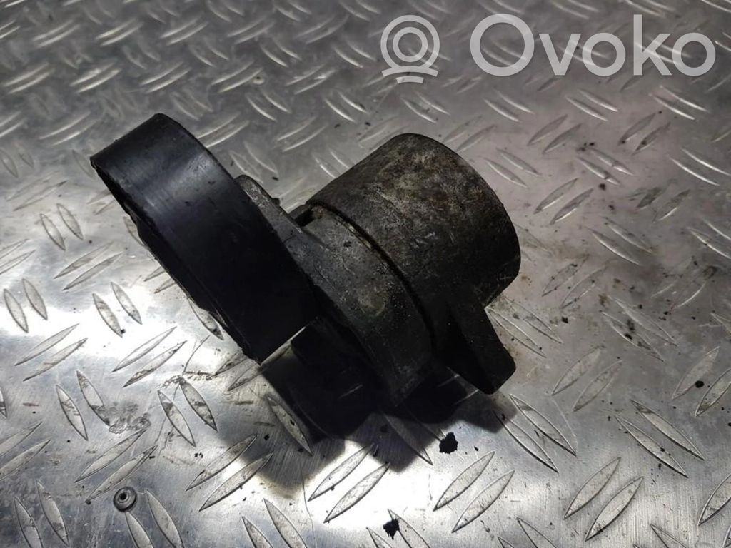 Întinzător curea generator/alternator