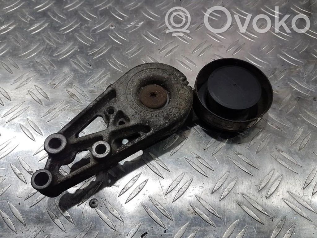 Tendicinghia generatore/alternatore   058903133A,058903133A