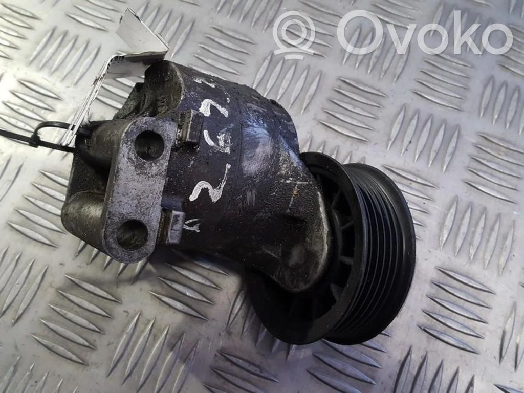 Opel Sintra Întinzător curea generator/alternator 