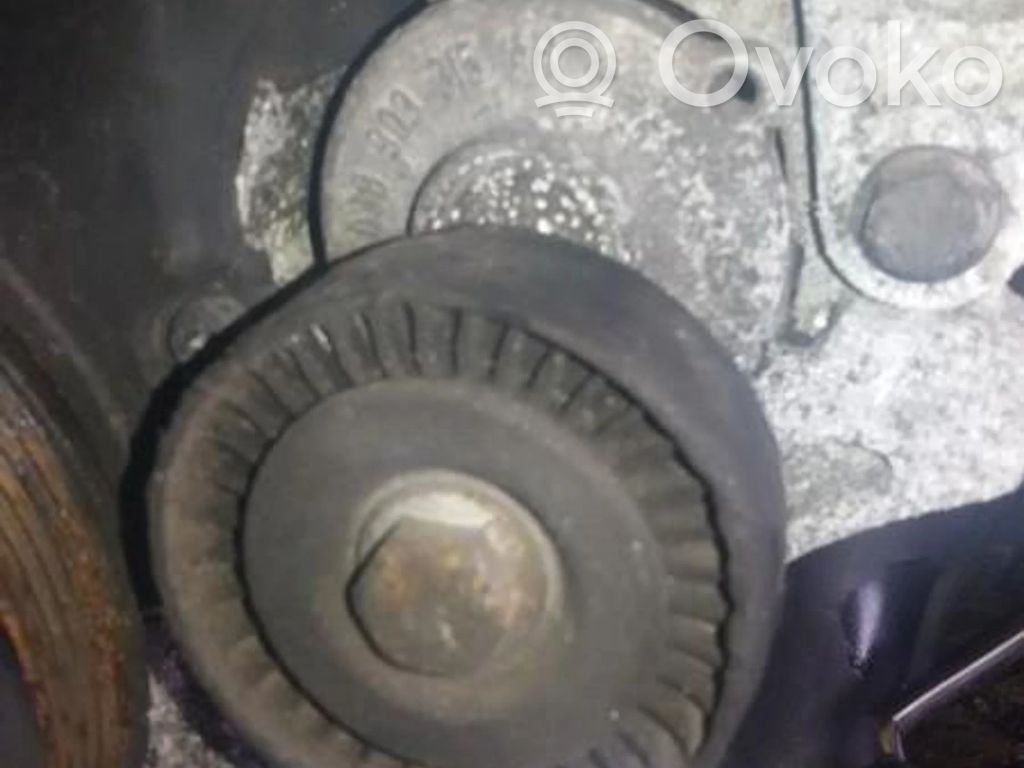 Volkswagen PASSAT B7 Întinzător curea generator/alternator 