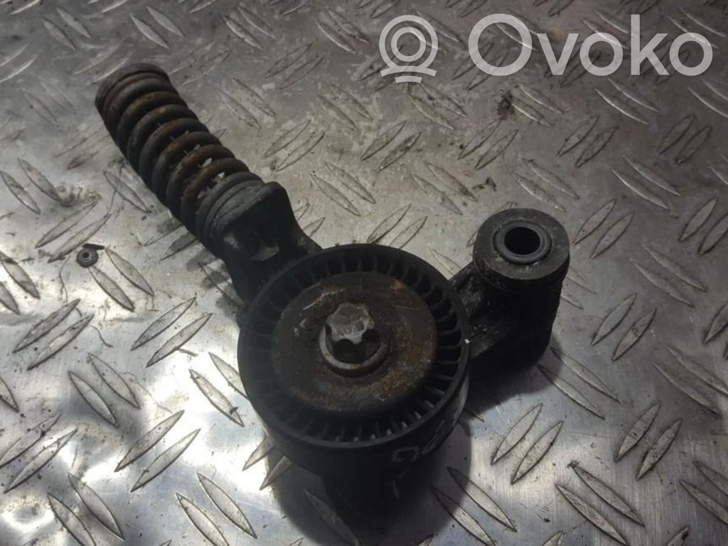 Tendicinghia generatore/alternatore