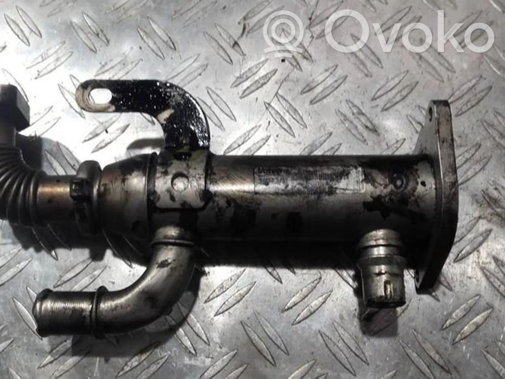 Volvo V50 Răcitor supapă EGR 